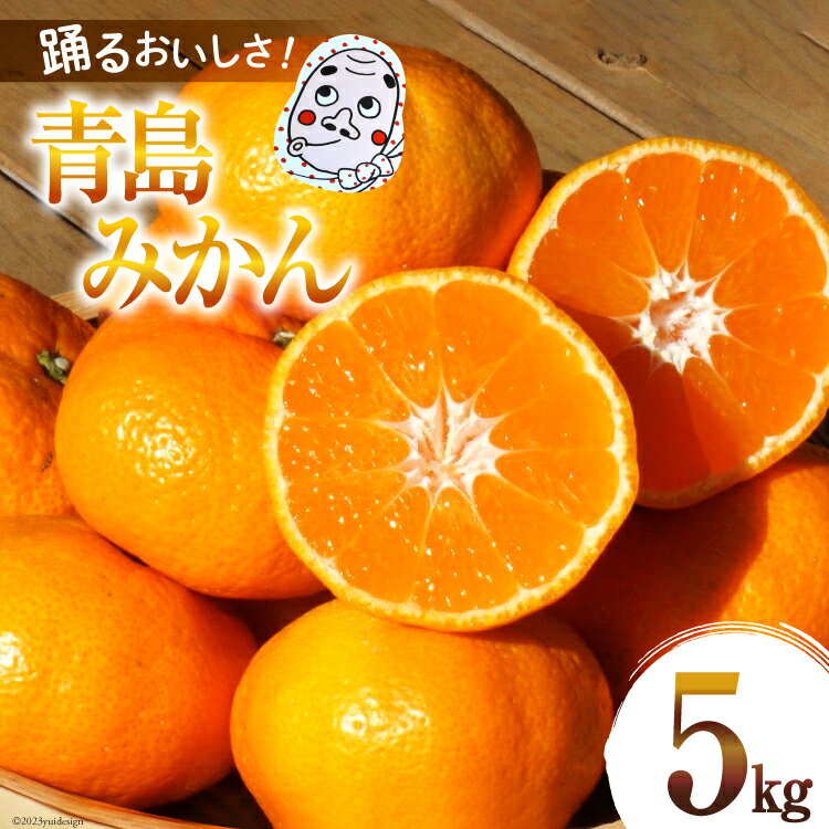 【ふるさと納税】【期間限定発送】踊るおいしさ！味濃く甘い！ 青島みかん 5kg [奈須農園 宮崎県 日向市 452061478] 果物 フルーツ 柑橘 みかん ミカン