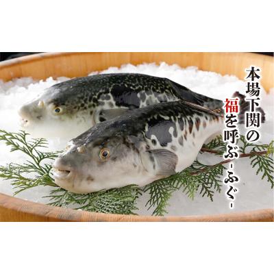ふるさと納税 下関市 ふぐ刺し ちり鍋 豚しゃぶセット冷凍 2〜3人前 とらふぐ FG009 |  | 01