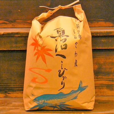 ふるさと納税 南魚沼市 令和7年産 《語り伝えられる地》南魚沼しおざわ産コシヒカリ5Kg(白米)