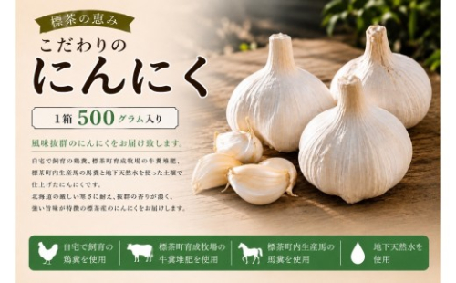【2026年9月発送】標茶の恵み　こだわりのにんにく　１箱500グラム入り（Mサイズ約８～１０個）