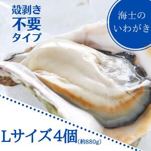 牡蠣 殻なし Lサイズ 4個 牡蠣