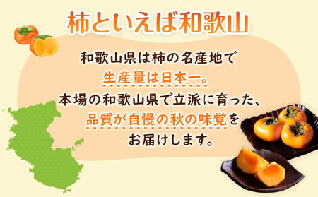 【2025年9月下旬以降発送】 和歌山県産 平核無柿 ご家庭用 約3kg 満杯詰  柿 種無し たねなし ひらたね 訳あり