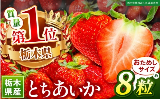 苺 いちご お試しとちあいか 8粒【栃木県共通返礼品 真岡市産】TT 栃木県 下野市