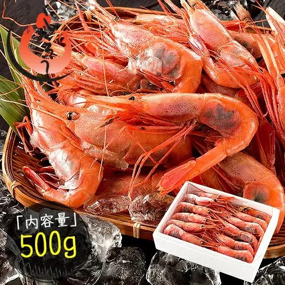 福井県敦賀産甘えび・子持ちE大サイズ約500g(約30尾) [053-a028_A(25)]【敦賀市ふるさと納税】