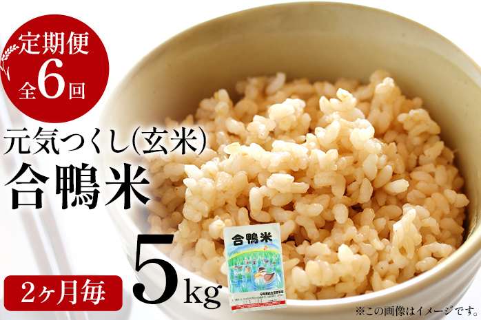 令和7年産 新米予約 合鴨米「元気つくし」（玄米・5kg）定期便6回コース　BI10　※2025年10月より順次出荷予定(隔月発送予定)