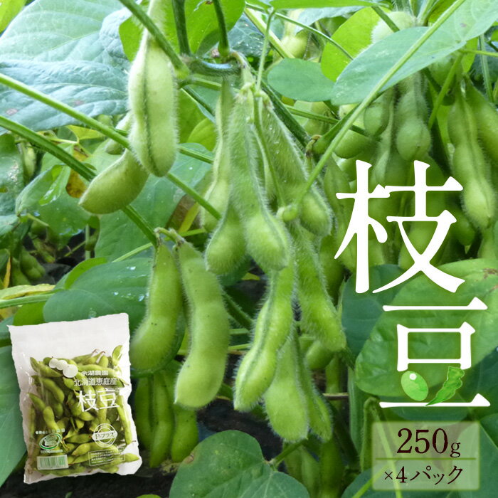 【ふるさと納税】『★先行予約★8月初旬より順次発送』 枝豆　250g×4パックセット 北海道産 枝豆1000g ふるさと納税 北海道 恵庭市 恵庭【31001301】