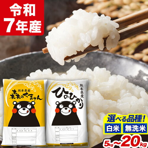 熊本県産ひのひかり 13kg 6.5kg×2袋