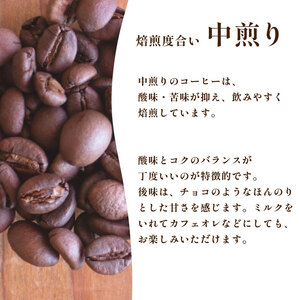 【中煎り】 訳あり コーヒー粉 1kg ( 500g × 2袋 ) グアテマラ ハンドドリップ ( コーヒー 珈琲 コーヒー豆 出荷当日 自家焙煎 数量限定 スペシャルティコーヒー グアテマラコーヒー