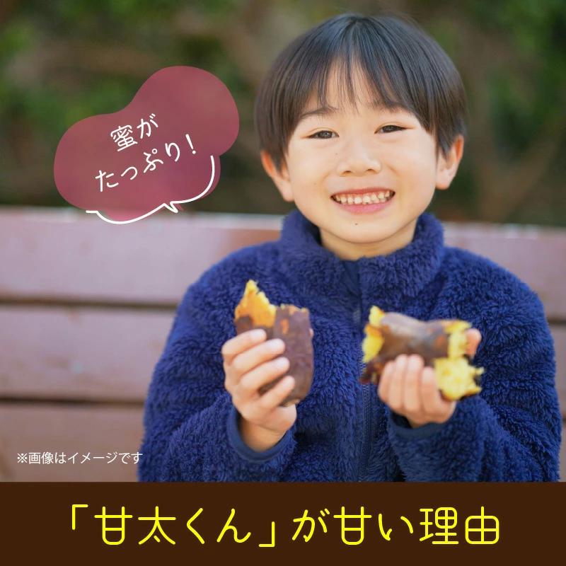 【先行予約】さつまいも 甘太くん 5kg 大分県産 M～2L _2291R