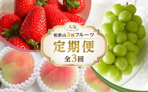 
            【全3回】和歌山厳選フルーツ定期便（ いちご 桃 シャインマスカット ）［MG16］
          