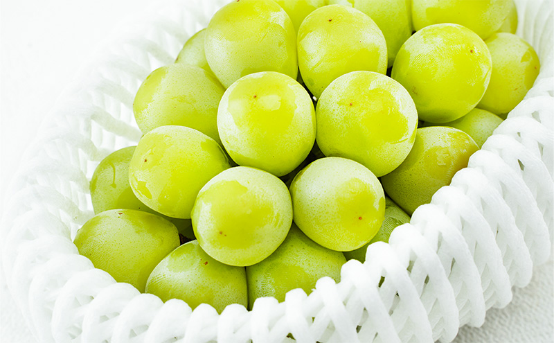 ぶどう 2025年 先行予約 マスカット・オブ・アレキサンドリア 1房 700g以上 化粧箱入り マスカット 岡山県産 国産 フルーツ 果物 ギフト 食後 デザート 上品な香り 果物の女王 さっぱり 