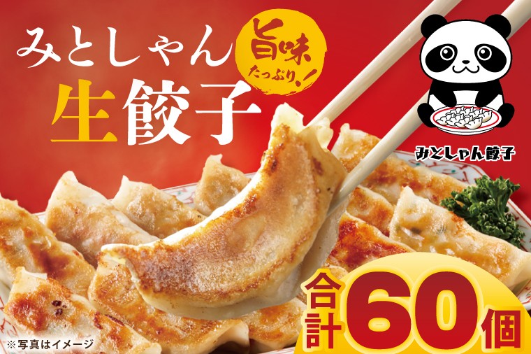 
                  旨味たっぷり！本場プロの中華料理人が作る みとしゃん生餃子 60個【香香 シャンシャン 中華 人気 老舗 焼き餃子 冷凍 ぎょうざ ギョーザ シューマイ簡単調理 惣菜 おかず 水戸市 茨城県】（CS-3）
                