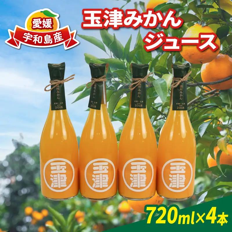 玉津 みかんジュース 温州みかん 720ml× 4本 玉津柑橘倶楽部 先行予約 100％ジュース ストレートジュース ジュース 愛媛みかん 愛媛蜜柑 愛媛ミカン うんしゅう みかん mikan 果物 フルーツ 柑橘 濃厚 甘い 甘味 蜜柑 産地直送 数量限定 国産 愛媛 宇和島 H018-072050