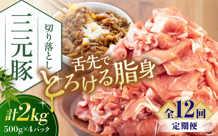 
                  【全12回定期便】平田牧場 切り落とし 2kg (500g×4P) 《喜茂別町》【平田牧場】 肉 豚肉 生姜焼き 小分け 冷凍 冷凍配送 定期便 定期 北海道 平田牧場 三元豚 [AJAP037]
                