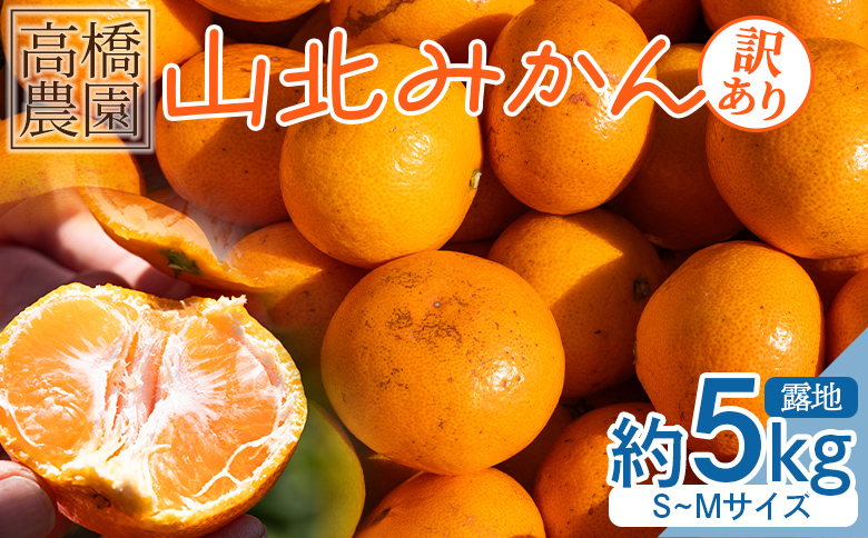 山北みかん（露地・S～Mサイズ）約5kg 家庭用 - 小傷あり 送料無料 露地栽培 柑橘 果物 フルーツ ミカン 蜜柑 期間限定 季節限定 家庭用 国産 特産品 高橋農園 高知県 香南市 th-0015