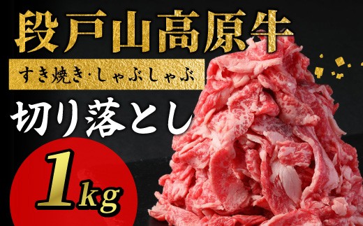 《2026年3月発送》段戸山高原牛 切り落とし 1kg (200g×5）牛肉 肉 国産牛 焼肉 すき焼き しゃぶしゃぶ 不揃い 冷凍 愛知県 設楽町 国産 牛肉 牛 スライス 小分け 大満足 赤身 数量限定 牛肉切り落とし 牛切り落とし sukiyaki niku 蓬莱泉 牛丼 牛 酒粕育ち 幻の牛 ブランド牛 -070