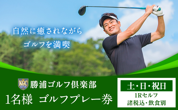 1名様 ゴルフ プレー券  (1Rセルフ・諸税込・飲食別)  土・日・祝日 勝浦ゴルフ倶楽部 【配送不可地域：離島】 《30日以内に出荷予定(土日祝除く)》千葉県 勝浦市 ゴルフ ゴルフ券