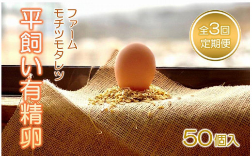 【3回定期便】ファームモチツモタレツの平飼い有精卵（50個入） 【 卵 たまご タマゴ 玉子 卵焼き オムレツ 卵かけご飯 ゆで卵 鶏卵 卵黄 生卵 平飼い 長沼町 北海道 】