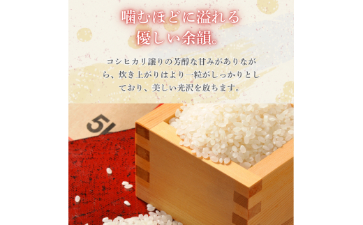 しきゆたか 5kg（茨城県共通返礼品・城里町産） / 米 こめ コメ お米 おこめ しきゆたか 白米 精米 ごはん ご飯 令和7年産 5kg 茨城県 城里町 利根町