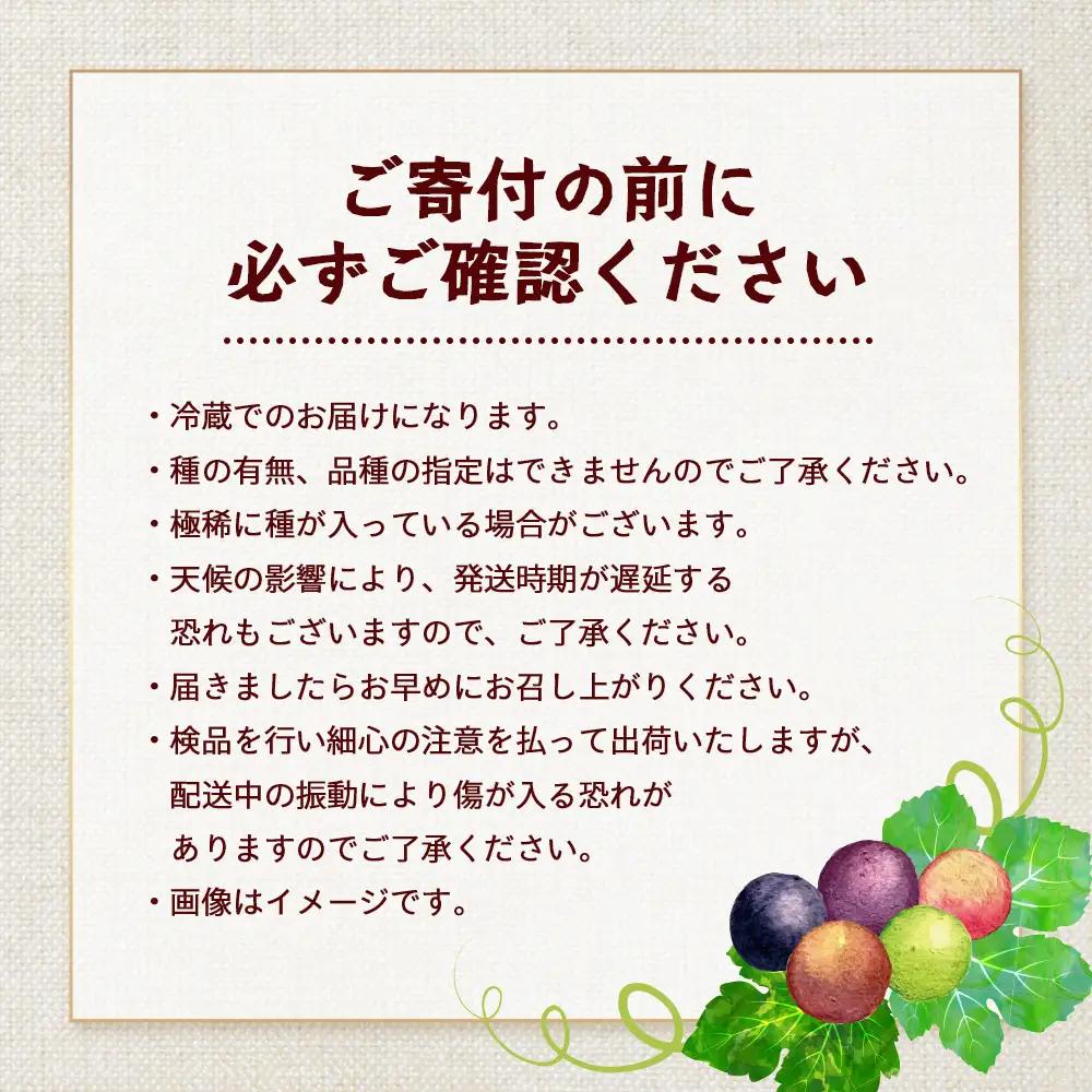 【期間限定!数量限定!】今が旬！ブドウ味くらべ約3kg (6～7房) TE710｜産地直送 旬 ブドウ 葡萄 ぶどう フルーツ 果物 くだもの 果実 食べ比べ 鹿児島県 南大隅町 有限会社ティエラ　