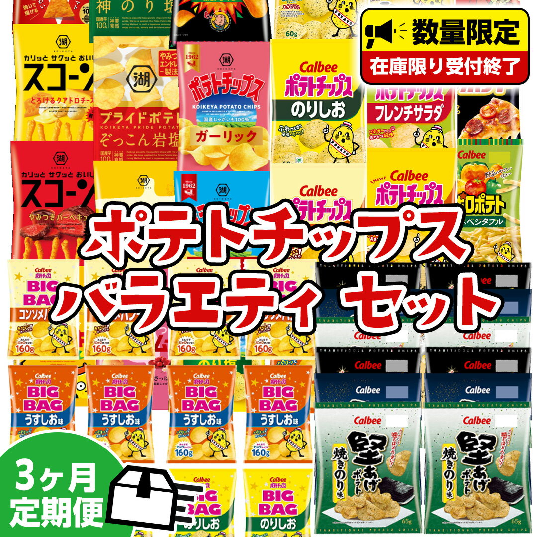 【ふるさと納税】 【 人気スナック菓子 3ヶ月 定期便 】 カルビー 湖池屋 人気 24種 詰め合わせ バラエティ セット ポテチ スナック菓子 BIGBAG 堅あげポテト のりしお うすしお ブラックペッパー ポテトチップス お菓子 おかし おやつ おつまみ スナック 頒布会