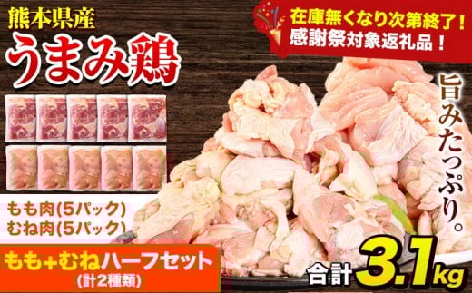 【生活応援企画】うまみ鶏ハーフ3.1㎏（ムネ×５・もも×５） 若鶏 冷凍 小分け《7-14日以内に出荷（土日祝除く)》