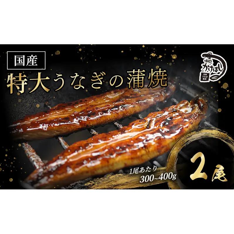 うなぎ 特大 国産 かけはし 蒲焼き 備長炭焼き うなぎ【2尾 各300〜400g】