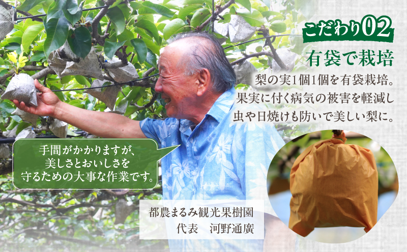 先行予約≪期間限定≫まるみ観光果樹園の『豊水梨』(約3kg) なし 果物 フルーツ 天然 ミネラル栽培_T036-0015
