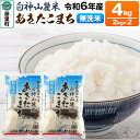 【ふるさと納税】令和6年度産 白神山麓米あきたこまち【無洗米】4kg(2kg×2袋) 秋田県産