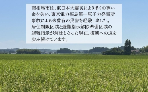コシヒカリ 白米 10kg ( 5kg ×2)  JAS有機米 令和8年産 | JAS 有機米 精米 コメ 米 こめ ブランド米 銘柄 福島 福島県産 渡部有機農園 福島産コシヒカリ 福島産こしひかり