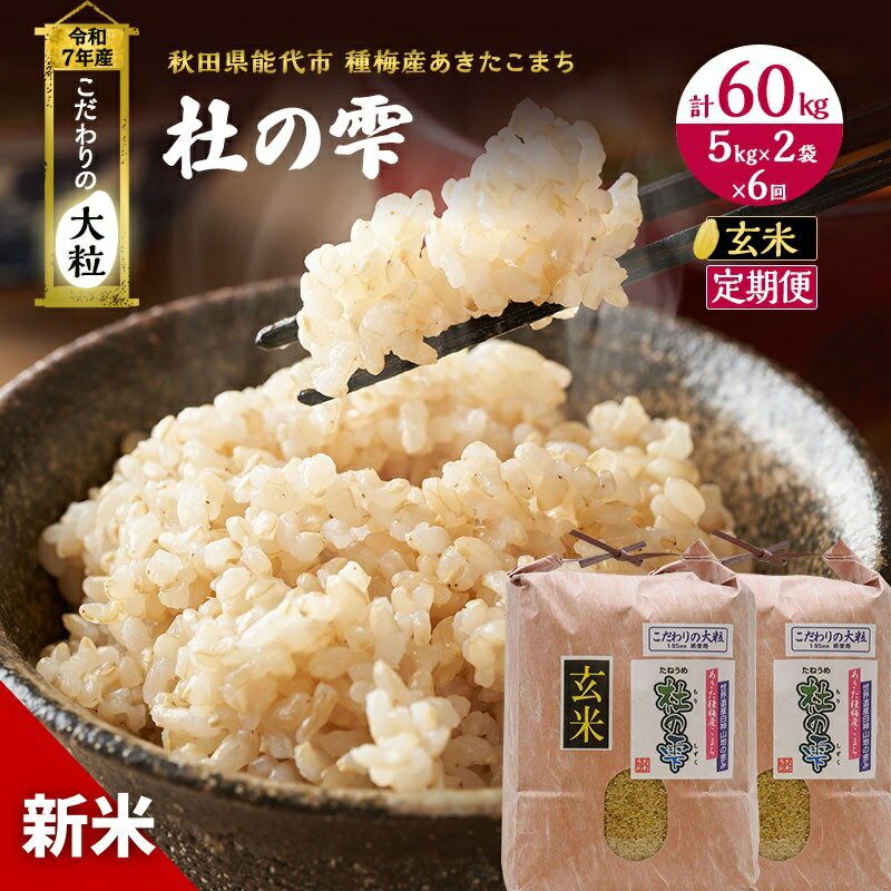 【ふるさと納税】新米 米 お米 《定期便6ヶ月》【玄米】秋田県産 あきたこまち あきた種梅産こまち 杜の雫 こだわりの大粒 10kg（5kg×2袋）×6回 合計60kg 　お届け：2025年10月中旬より順次発送予定です。