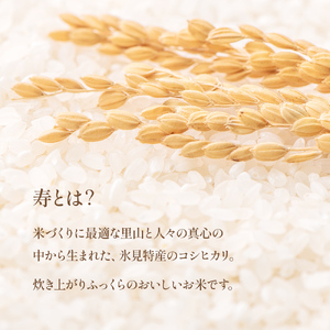 【5ヶ月定期便】 令和6年産 富山県産 コシヒカリ 《寿》 ５kg 富山県 氷見市 こしひかり 合計 25kg お届け