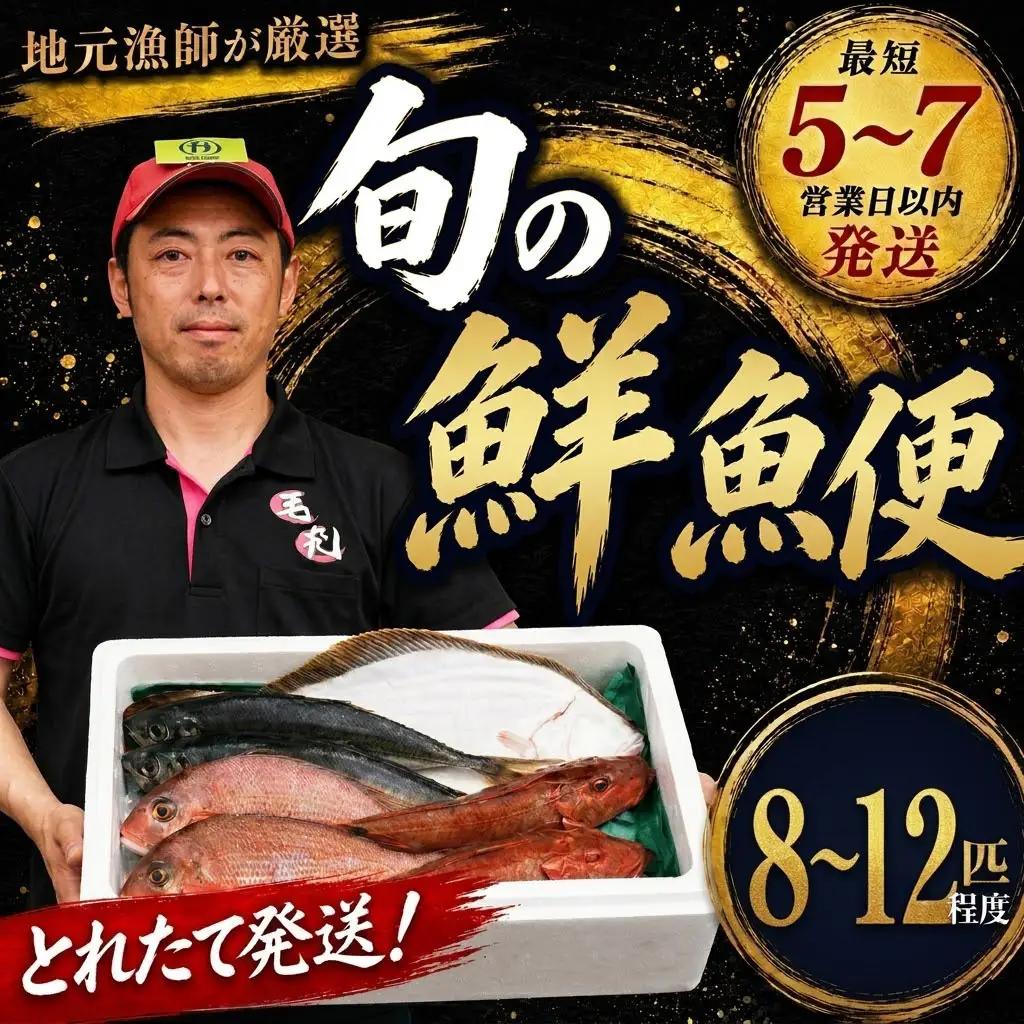 鮮魚便 獲れたて 8～12匹 刺し身 ＼ 刺し身 ／