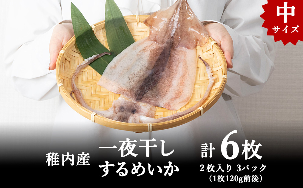 稚内産 するめいか一夜干し 中2枚入×3セット（合計6枚）