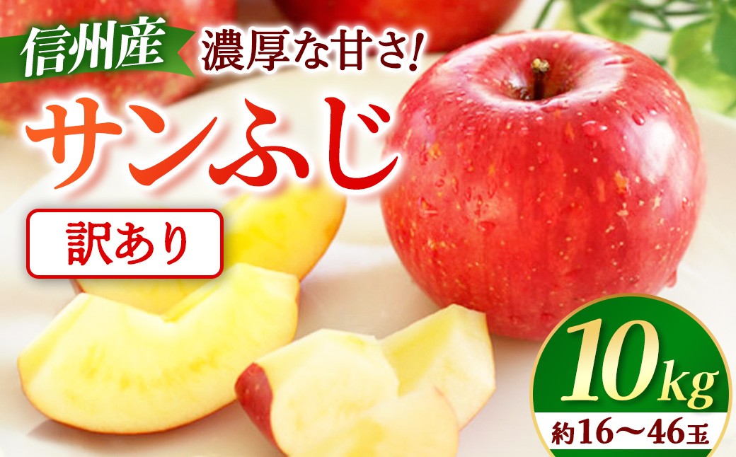 
                  【先行予約】※訳あり※ りんご　サンふじ　約10kg　＜2027年1月上旬～2月上旬発送予定＞　リンゴ｜長野県産｜果物｜くだもの
                