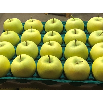 
            ＜希少品種＞「メルシー」約5kg・訳あり家庭用りんご 青森市長賞受賞【1106862】
          