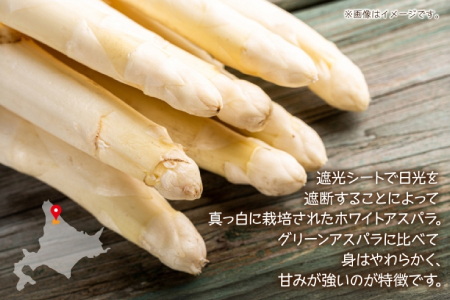 【ふるなびWEEK対象】2026年発送 ホワイトアスパラ 2kg(2L～3L ）【優品】 白旬 新鮮 野菜 朝採れ アスパラ アスパラガス ギフト 産地直送 お取り寄せ フレッシュ 甘い 春 春野菜 
