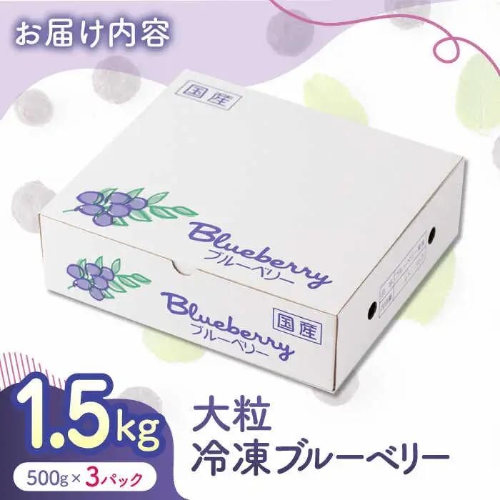 大粒 冷凍ブルーベリー 約1500g（約500g×3pc） 【すみれファーム】果物 フルーツ くだもの 大粒 小分け 熊本県産ブルーベリー  [ZEP008]
