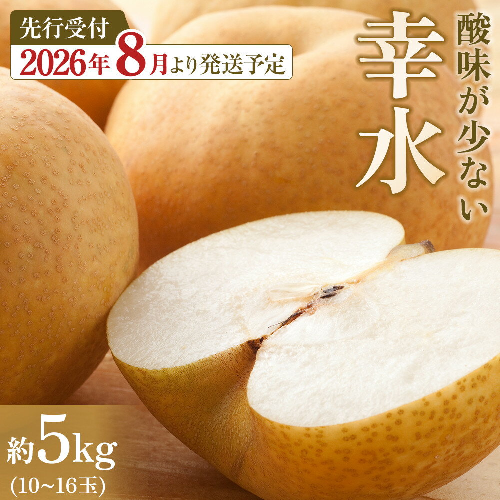【ふるさと納税】【馬場果樹園】梨「幸水」約5kg（10～16玉入）8月中旬～順次発送 | フルーツ 果物 くだもの 食品 人気 おすすめ 送料無料