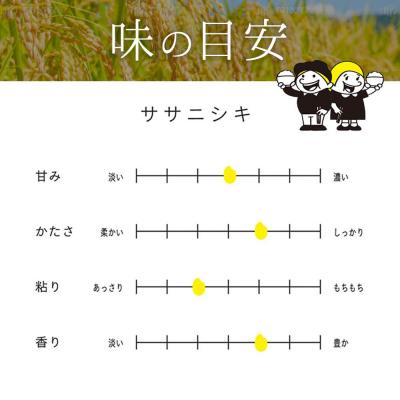 ふるさと納税 角田市 【先行予約】宮城県角田市産米【令和7年産】ササニシキ 5kg×1【10月中旬より順次発送】 |  | 03