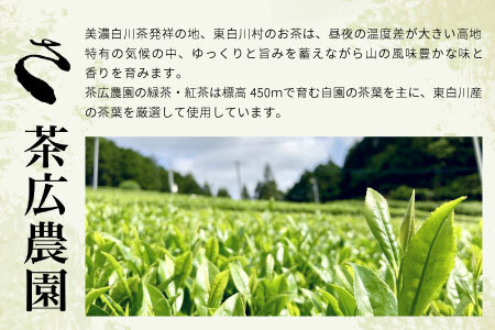 【2025年産新茶・先行受付】 初摘み新茶 美濃白川茶 50g 初摘み 新茶 東白川村産 岐阜県産 お茶 日本茶 ホット アイス おためし リックポスト 茶広農園