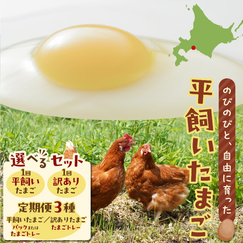 【ふるさと納税】＜選べる容量・回数＞ 平飼いたまご 24個 or 訳あり 30個 定期便 卵 たまご 鶏卵 玉子 生卵 タマゴ エッグ 平飼い 卵かけごはん HokkaidoGreenCompany 北海道 苫小牧市 おすすめ ランキング プレゼント ギフト