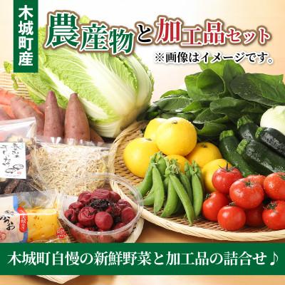 ふるさと納税 木城町 木城町産農産物と加工品セット