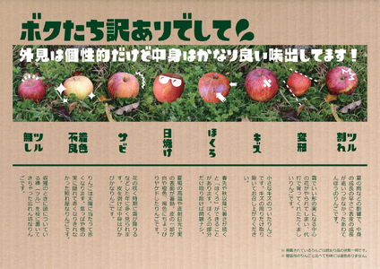 先行予約 ☆当園人気No.1☆ りんごの王様 家庭用「サンふじ」約3kg りんご