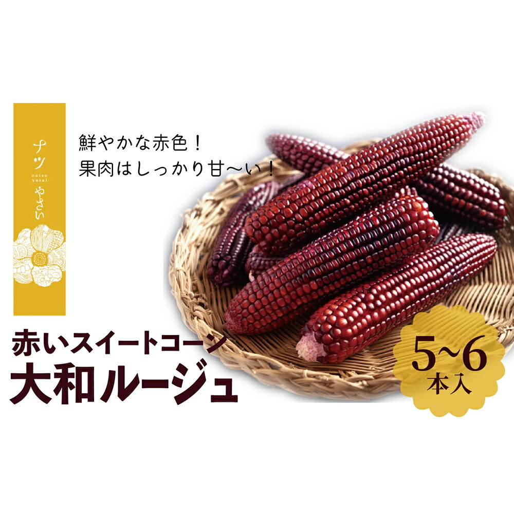 【ふるさと納税】【令和7年早期受付】9月の旬 日本初の赤トウモロコシ「大和ルージュ」 5本 ピンクの八百屋〜ナツやさい〜 | とうもろこし トウモロコシ 大和ルージュ 旬 新鮮 野菜 夏 産地直送 北海道 津別町 送料無料