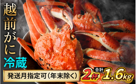 【配送月指定可】越前がに 800ｇ×2ハイ｜蟹 かに カニ 越前ガニ 越前がに ズワイガニ ずわいがに ボイル 800g 2杯 2ハイ 福井 冷蔵 送料無料