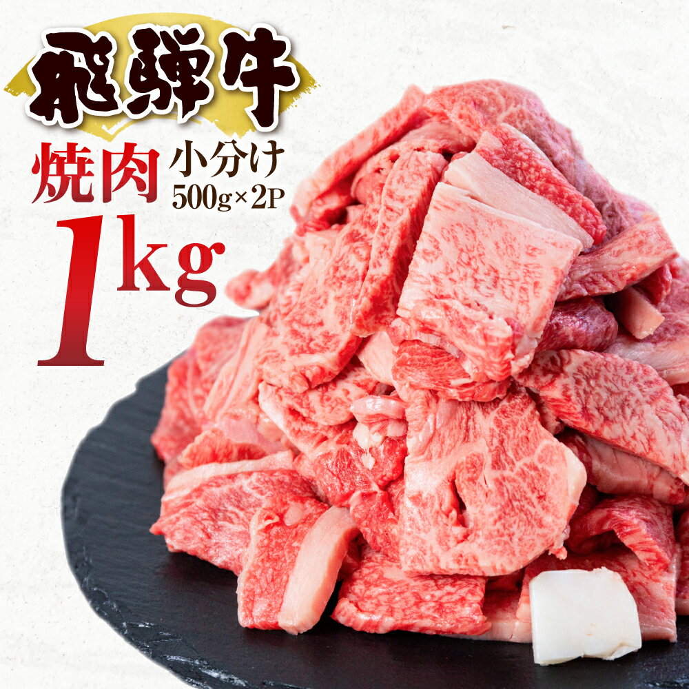 【ふるさと納税】飛騨牛 焼肉 切り落とし 肉 1kg 切落し 牛肉 肉 バーベキュー BBQ セット 和牛 焼肉 部位おまかせ ごちそう 贅沢 大容量 人気 おすすめ アウトドア 国産 冷凍 [S201] 発送月が選べる 訳あり 訳アリ JA飛騨 ひだ 白川村 14000円 25000円