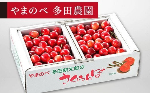 
            ≪2025年 先行予約≫さくらんぼ 紅さやか バラ詰 1kg (500g×2)「やまのべ多田農園」 F2Y-1367
          