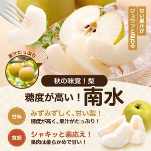 ジューシーで甘い!長野県産 なし ( 南水 ) 約10キロ 秀品〈2026年9月中旬～10月中旬発送〉| 長野県 飯田市