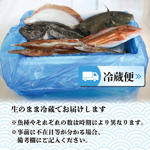 鮮魚便 鮮魚 旬 獲れたて セット 詰め合わせ 魚介類 海の幸 鮮魚 旬の鮮魚 今が旬 福袋 マンボウ 福袋 アジ キンキ 海鮮福袋 福袋